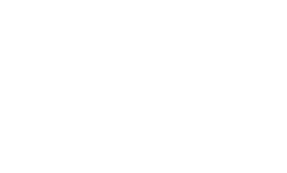 logo_elitz